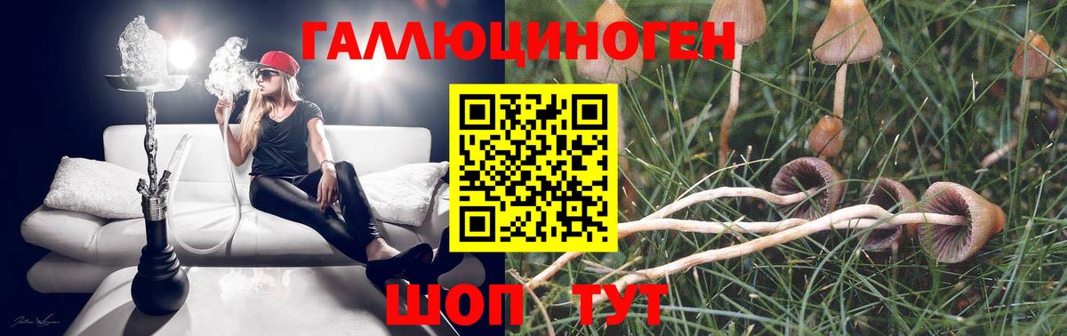 сколько стоит  Вход с VPN  Камень-на-Оби  Галлюциногенные грибы ЛСД 